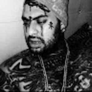 Meet your Posher, Koko